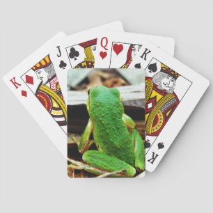 Cute Frog Playing Cards
