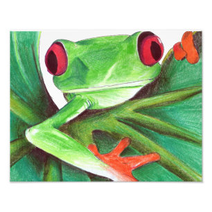 cute frog print