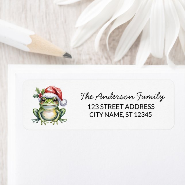  Cute Frog Santa Hat Christmas Return Address (Insitu)