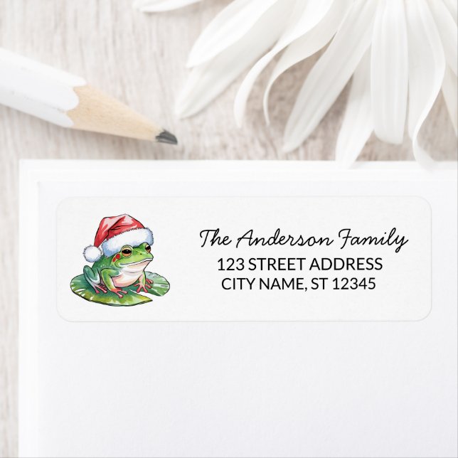  Cute Frog Santa Hat Christmas Return Address (Insitu)