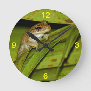 Cute Frog Wall Clock