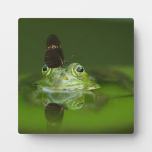 Cute frog with a Butterfly on his nose Plaque