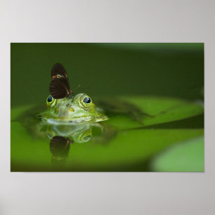 Cute frog with a Butterfly on his nose Poster