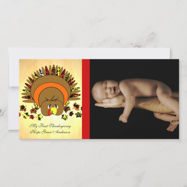 Cute Full Colour Turkey Holiday Card (Front)