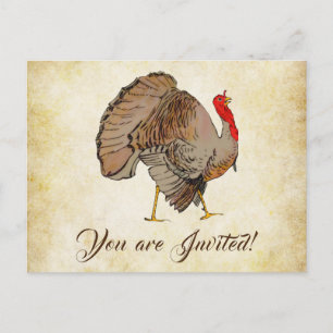 Cute Full Colour Turkey Postcard