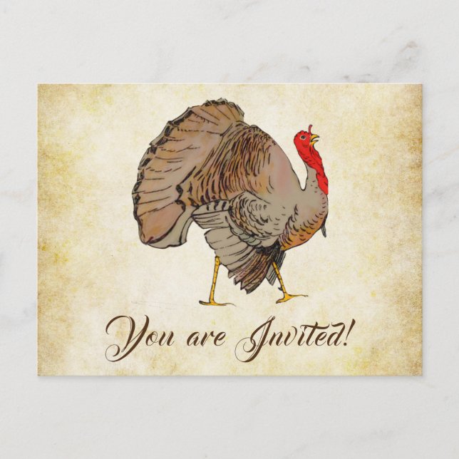 Cute Full Colour Turkey Postcard (Front)