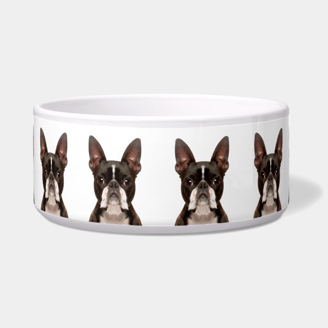 Cute Fun Boston Terrier Dog Breed Pattern (Front)