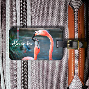 Cute fun pink flamingo birds photo custom name luggage tag