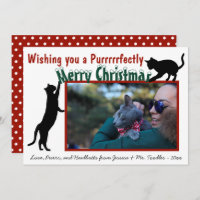 Cute Fun Playful Cats Merry Christmas Photo