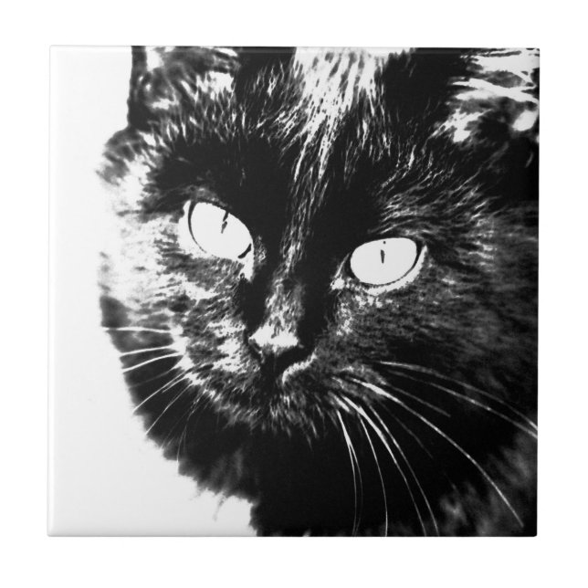 Cute Funky Black And White Cat Kitten Sketch Tile (Front)