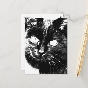 Cute Funky Black Cat Kitten Eyes Sketch Postcard