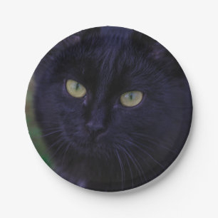 Cute Funky Black Cat Kitten Yellow Eyes Paper Plate