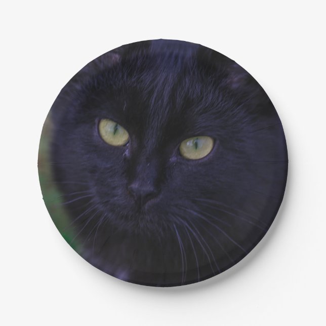 Cute Funky Black Cat Kitten Yellow Eyes Paper Plate (Front)