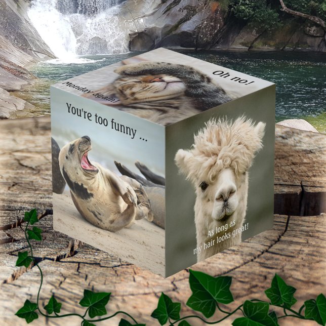 Cute Funny Animal Photo Cube (Photo cube featuring images of funny animals with humorous texts)