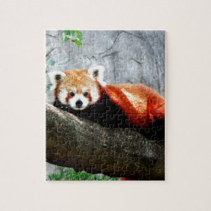 cute funny animal red panda jigsaw puzzle
