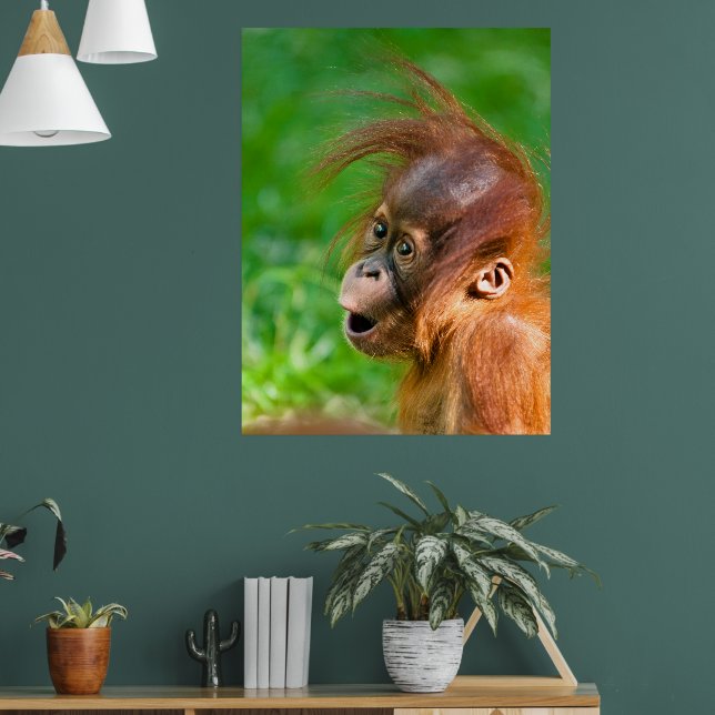 Wee Blue Coo Grußkarte – Junger Orang-Utan Motiv, 12,5x17,5 Cm, Blanko Innen