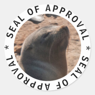Cute funny baby seal of approval sticker