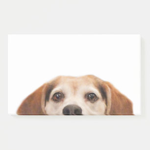 Cute Funny Beagle Dog Modern Trendy Post-it Notes
