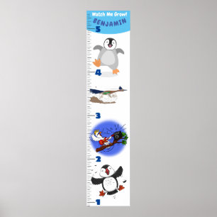 Cute funny birds cartoon growth chart