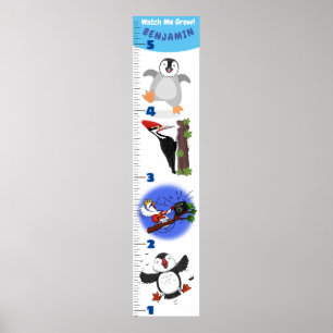 Cute funny birds cartoon growth chart