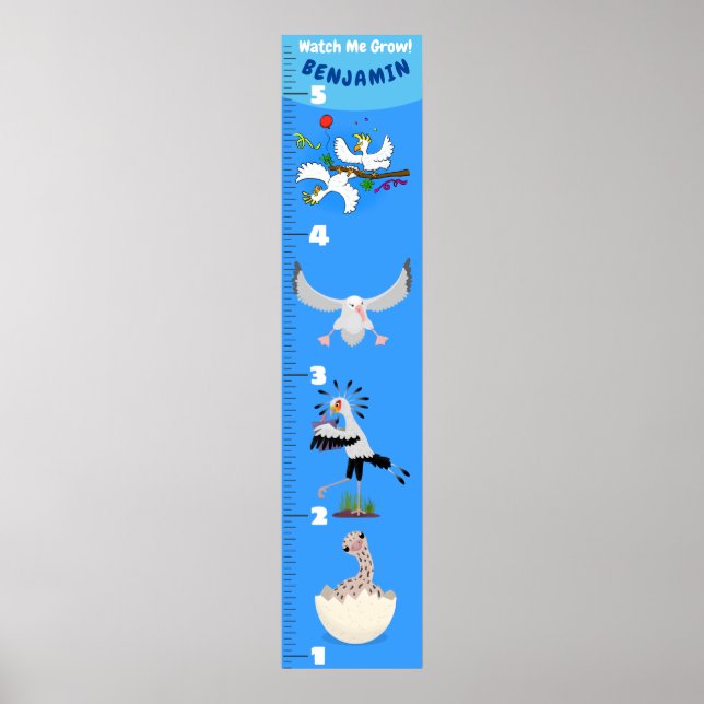 Cute funny birds cartoon growth chart (Front)