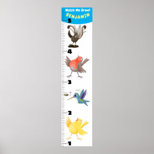 Cute funny birds cartoon poster