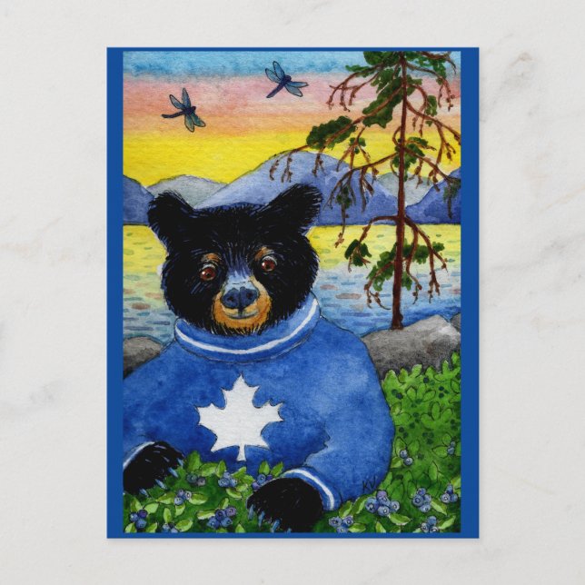 Cute Funny Black Bear Algonquin Park postcard (Front)