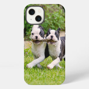 Cute funny Boston Terrier dogs puppies playing - iPhone 13 Case