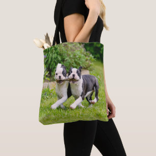Cute funny Boston Terrier dogs puppies playing - Tote Bag