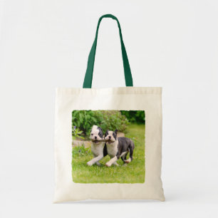 Cute funny Boston Terrier dogs puppies playing - Tote Bag