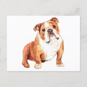 Cute funny British Bulldog sitting Postcard
