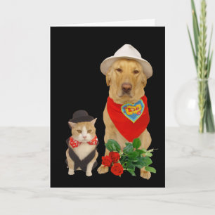 Cute, Funny Cat & Dog/Lab Valentine Holiday Card