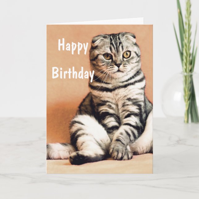 Cute Funny Cat Happy Birthday Card (Front)