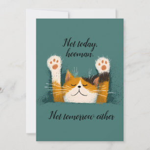 Cute Funny Cat Nap Announcement
