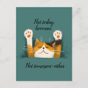Cute Funny Cat Nap Holiday Postcard