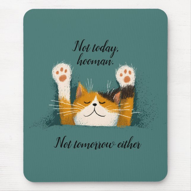 Cute Funny Cat Nap Mouse Mat (Front)