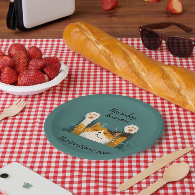 Cute Funny Cat Nap Paper Plate (Picnic)