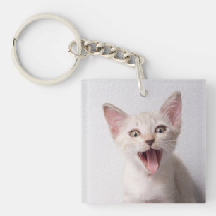 Cute Funny cat Photo Key Ring