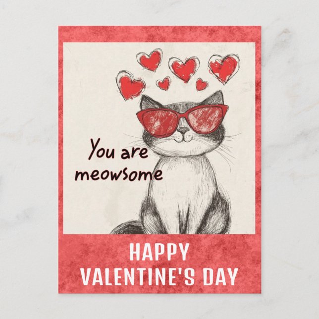 Cute Funny Cat Valentines Day Hearts Postcard (Front)