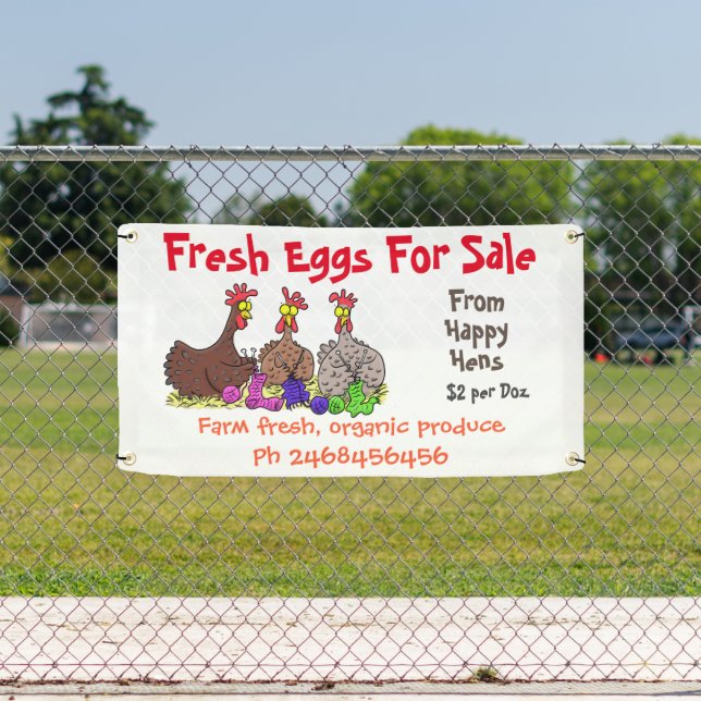 Cute funny chickens cartoon eggs for sale sign (Insitu)