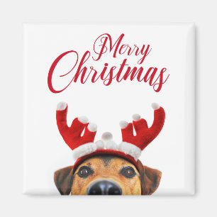 Cute Funny Christmas Dog Reindeer Antler Headband Magnet