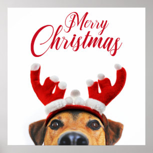 Cute Funny Christmas Dog Reindeer Antler Headband Poster