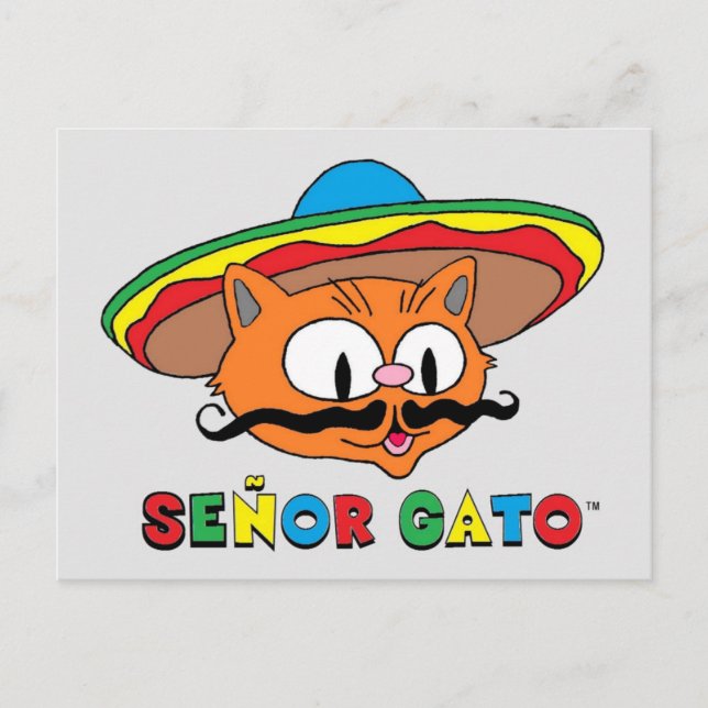 Cute Funny Colourful Cartoon Cat Cinco de Mayo Postcard (Front)