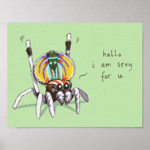 Cute Funny Colourful Peacock Spider Drawing Poster