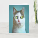 Cute Funny Crazy Cat Birthday Card<br><div class="desc">Cute Funny Crazy Cat Birthday Card by THEORY OF HUMOR Greeting Card.</div>