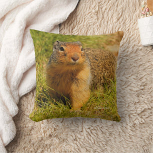 Cute Funny Curious Columbian Ground Squirrel Cushion