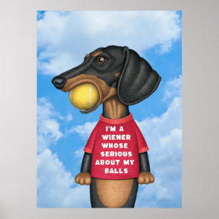Cute Funny Dachshund with Tennis Ball in Mouth Poster