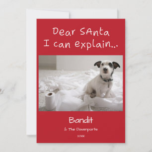 Cute Funny Dear Santa I Can Explain Pet Photo Holiday Card