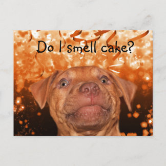 Cute funny dog birthday postcard