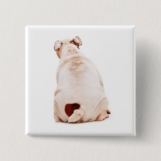 Cute funny dog white Bulldog 15 Cm Square Badge (Front)